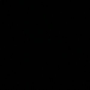 Meet your Posher, Cesar